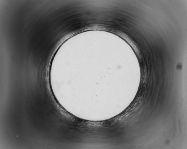 X0000103330861200810171422