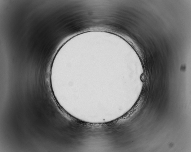 X0000103330862200810171422