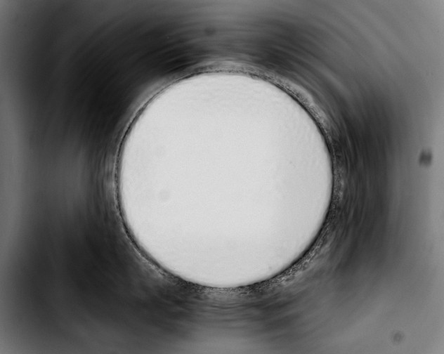 X0000103330863200810171422