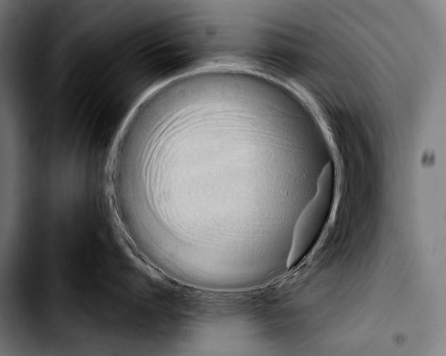 X0000103330864200810171422