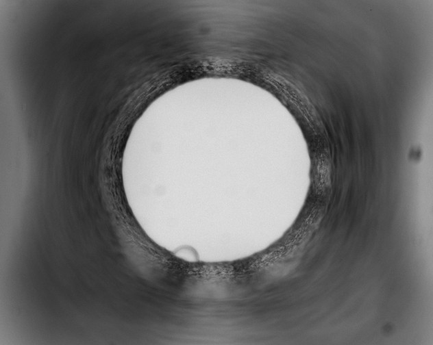 X0000103330865200810171422