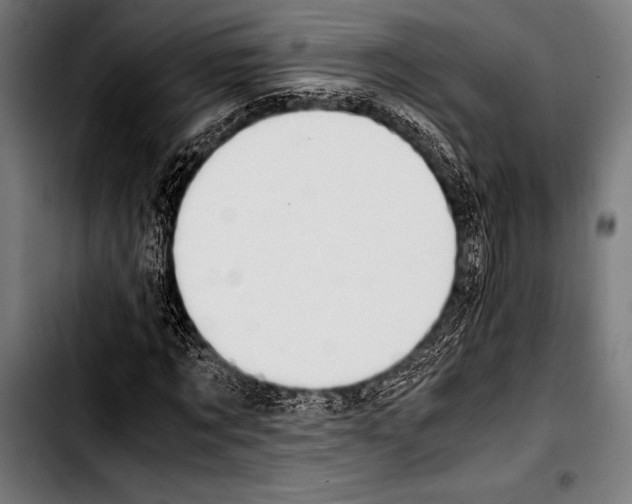 X0000103330869200810171422