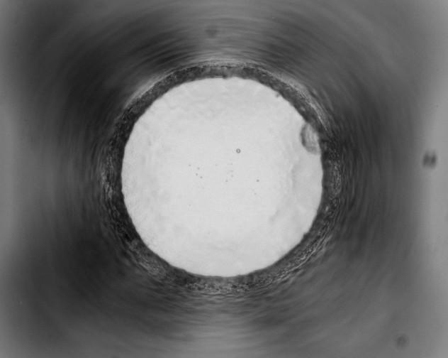 X0000103330871200810171422