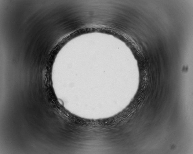 X0000103330872200810171422