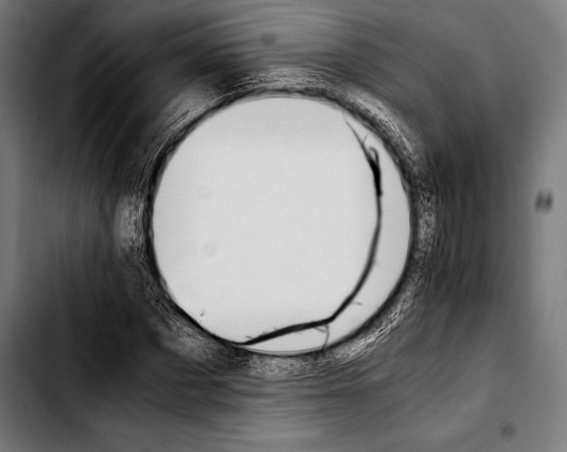 X0000103330873200810171422