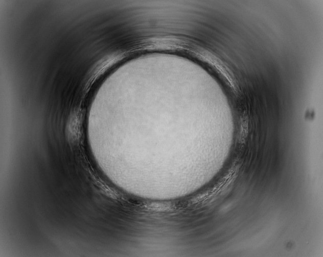 X0000103330874200810171421