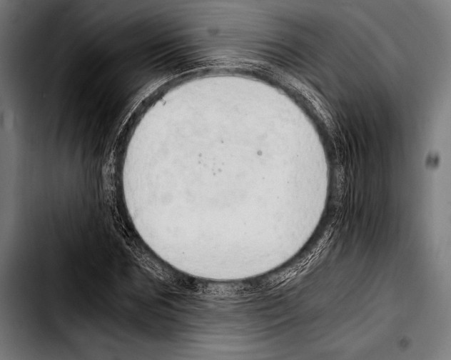 X0000103330875200810171421