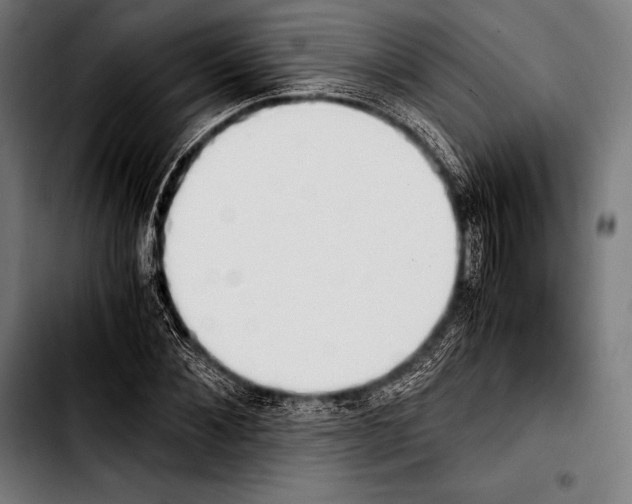 X0000103330876200810171421