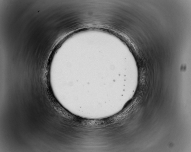 X0000103330879200810171421