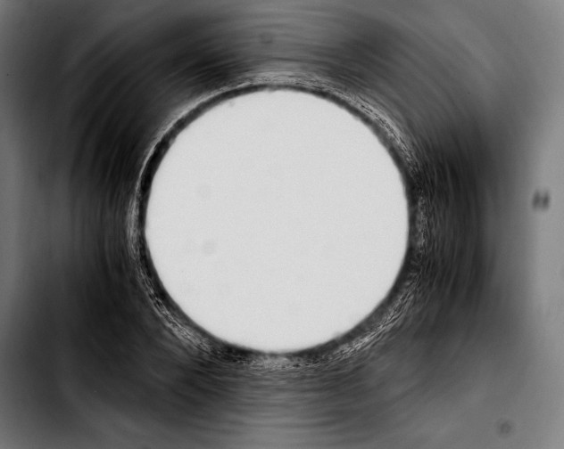 X0000103330880200810171421