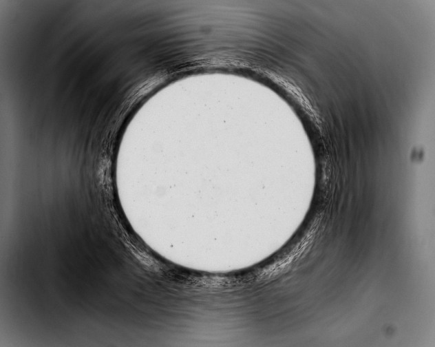 X0000103330881200810171421