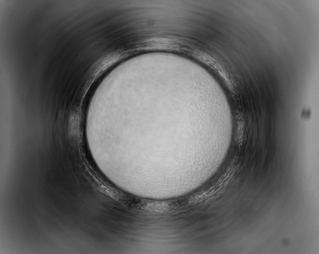 X0000103330882200810171421