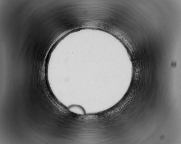 X0000103330884200810171421