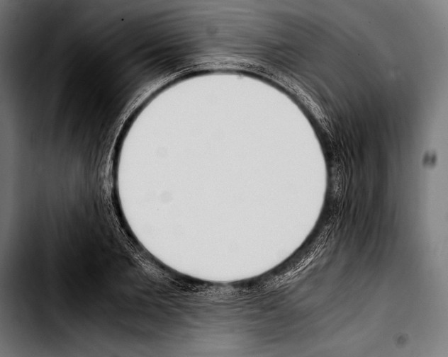 X0000103330885200810171421