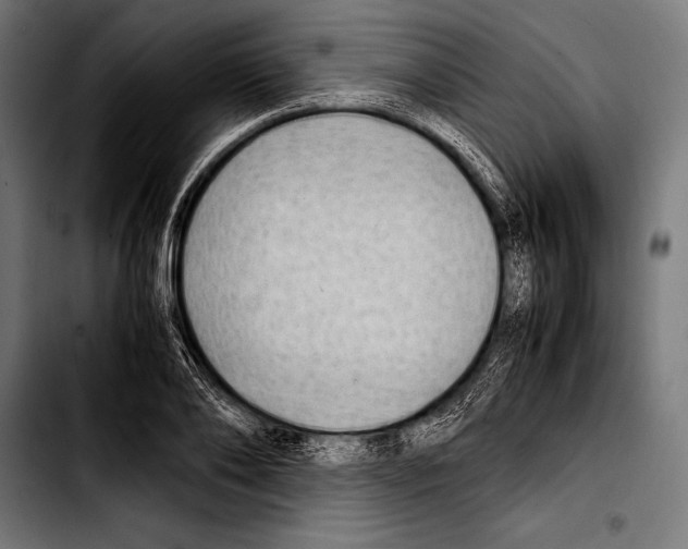 X0000103330886200810171421