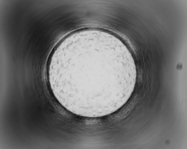 X0000103330887200810171421