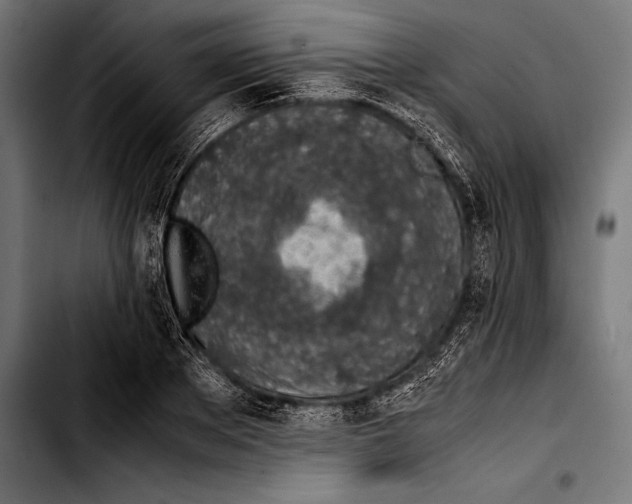 X0000103330889200810171421