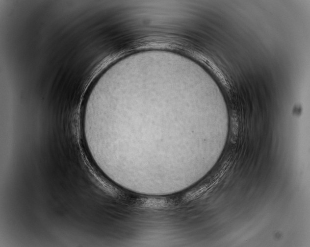 X0000103330890200810171421