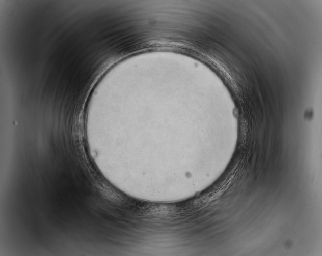 X0000103330891200810171421