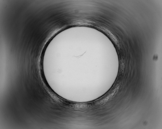 X0000103330893200810171421