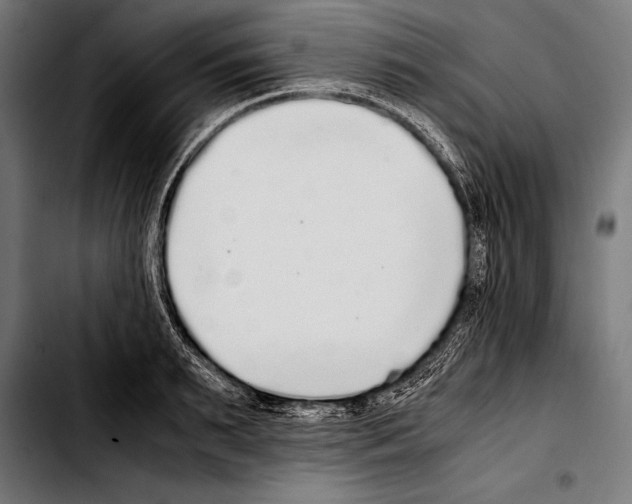 X0000103330895200810171421