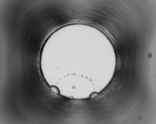 X0000103330896200810171421