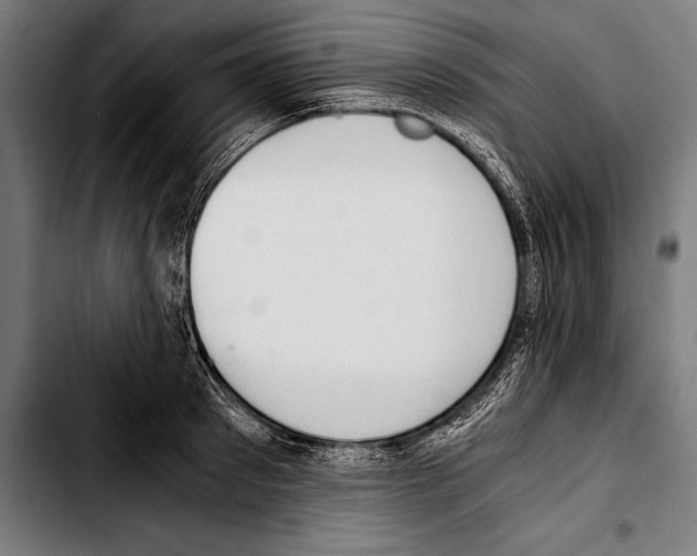 X0000103330897200810171421