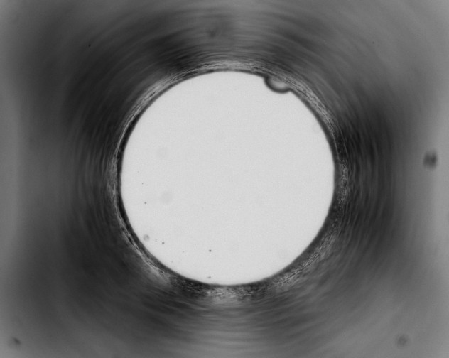 X0000103330898200810171421