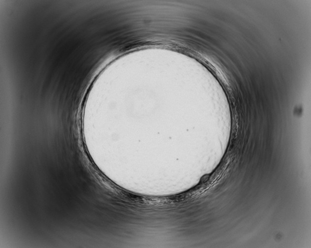 X0000103330899200810171421