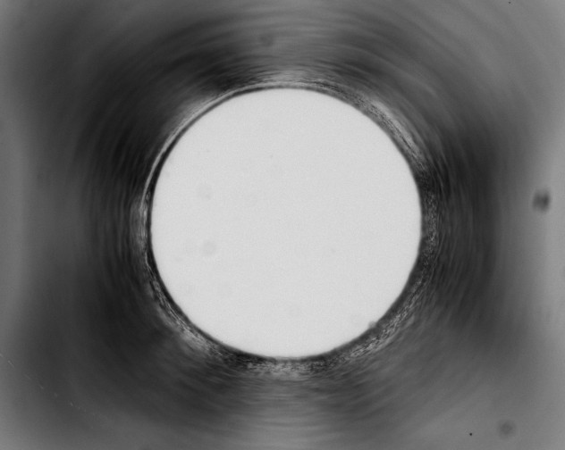 X0000103330900200810171421