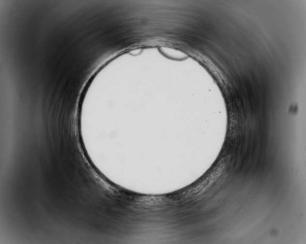 X0000103330902200810171421