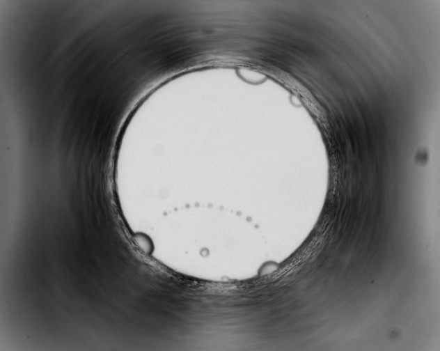 X0000103330904200810171421