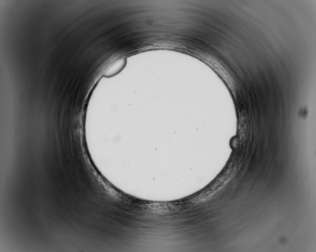 X0000103330906200810171421