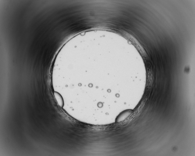 X0000103330908200810171421