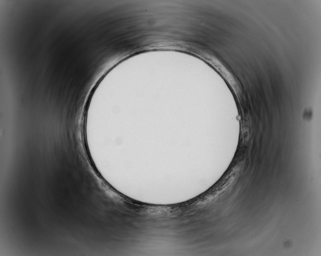 X0000103330909200810171421