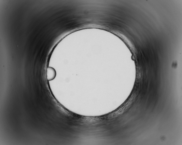 X0000103330910200810171421