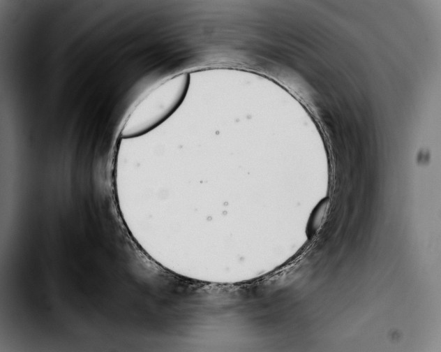 X0000103330912200810171421