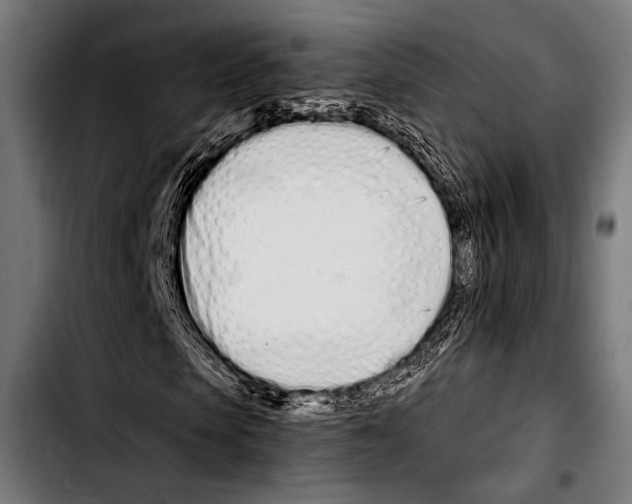 X0000103330913200810171420