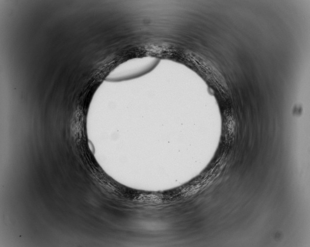 X0000103330914200810171420