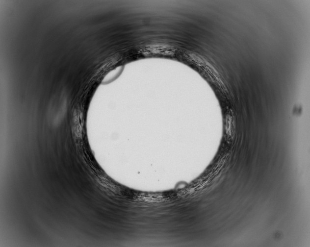 X0000103330915200810171420