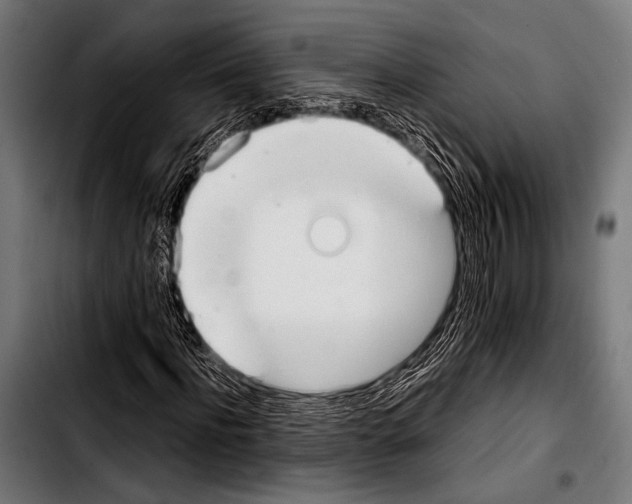 X0000103330916200810171420