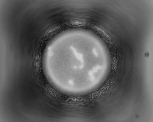 X0000103330917200810171420