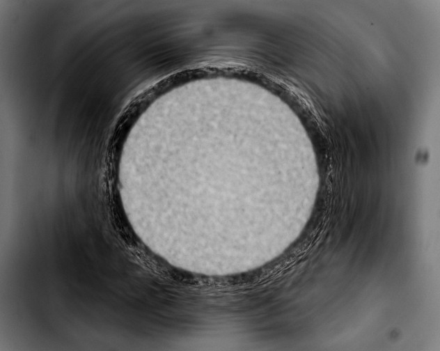 X0000103330920200810171420