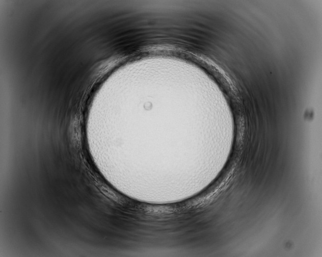 X0000103330921200810171420