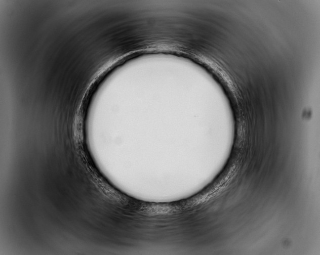 X0000103330925200810171420