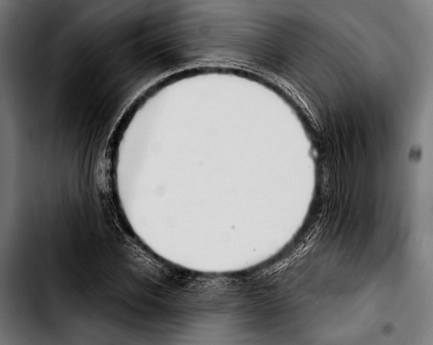 X0000103330926200810171420