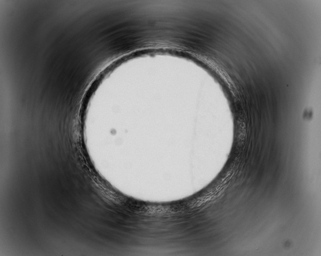 X0000103330927200810171420