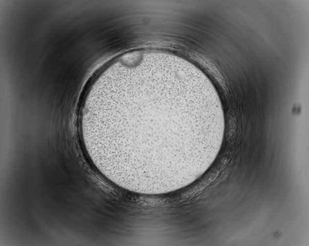 X0000103330928200810171420