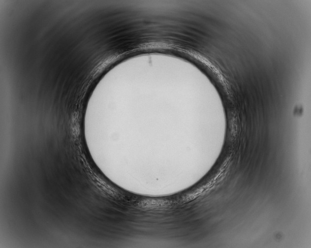 X0000103330929200810171420