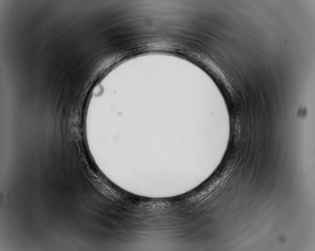 X0000103330930200810171420